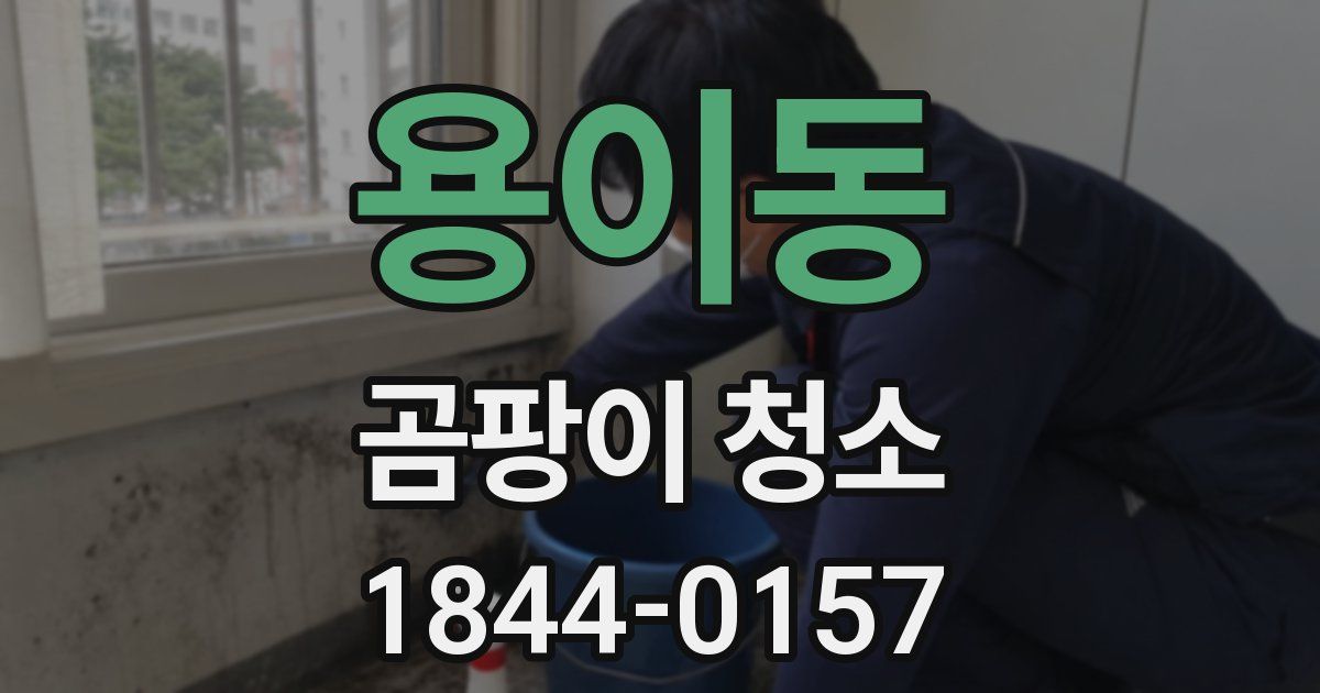 용이동 곰팡이 청소