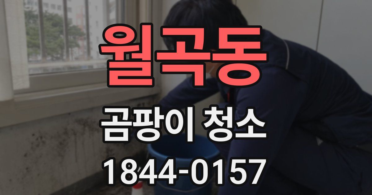 월곡동 곰팡이 청소