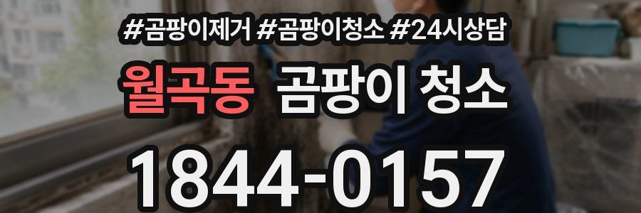 월곡동 곰팡이 청소