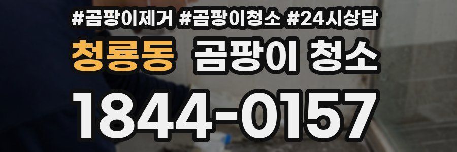 청룡동 곰팡이 청소