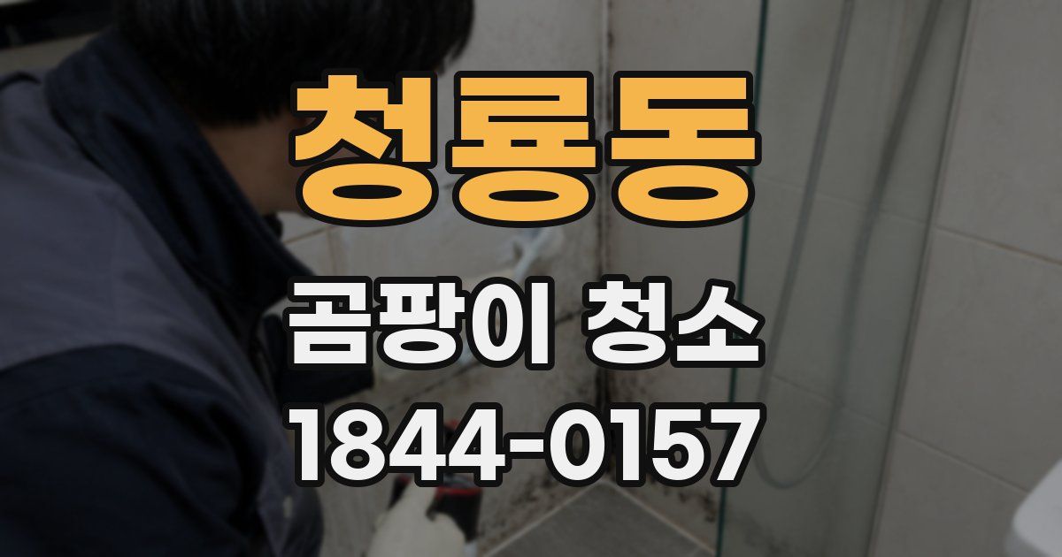 청룡동 곰팡이 청소