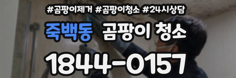 죽백동 곰팡이 청소