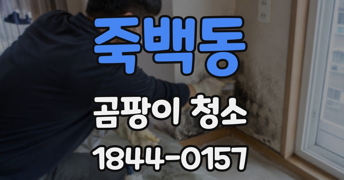 죽백동 곰팡이 청소