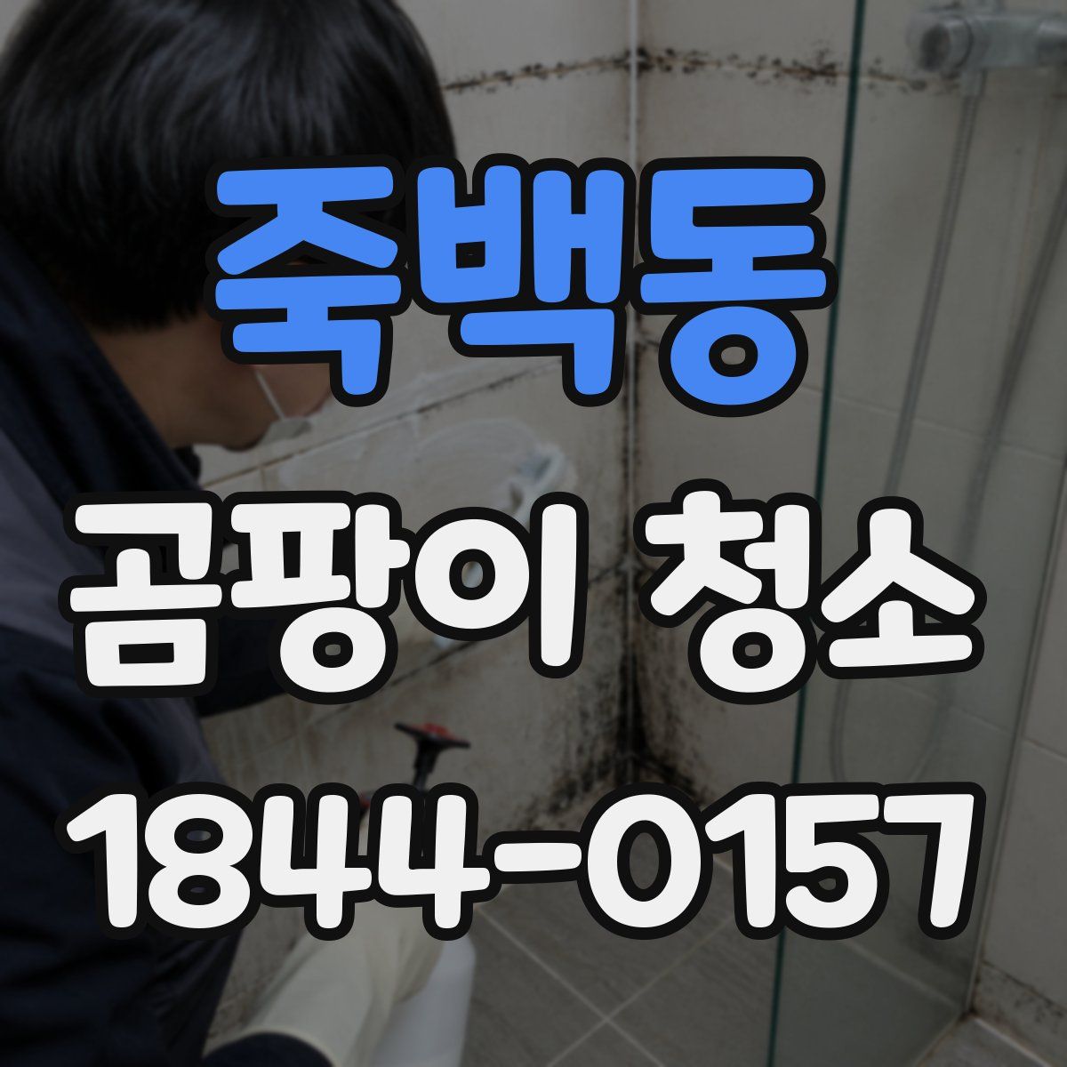 죽백동 곰팡이 청소