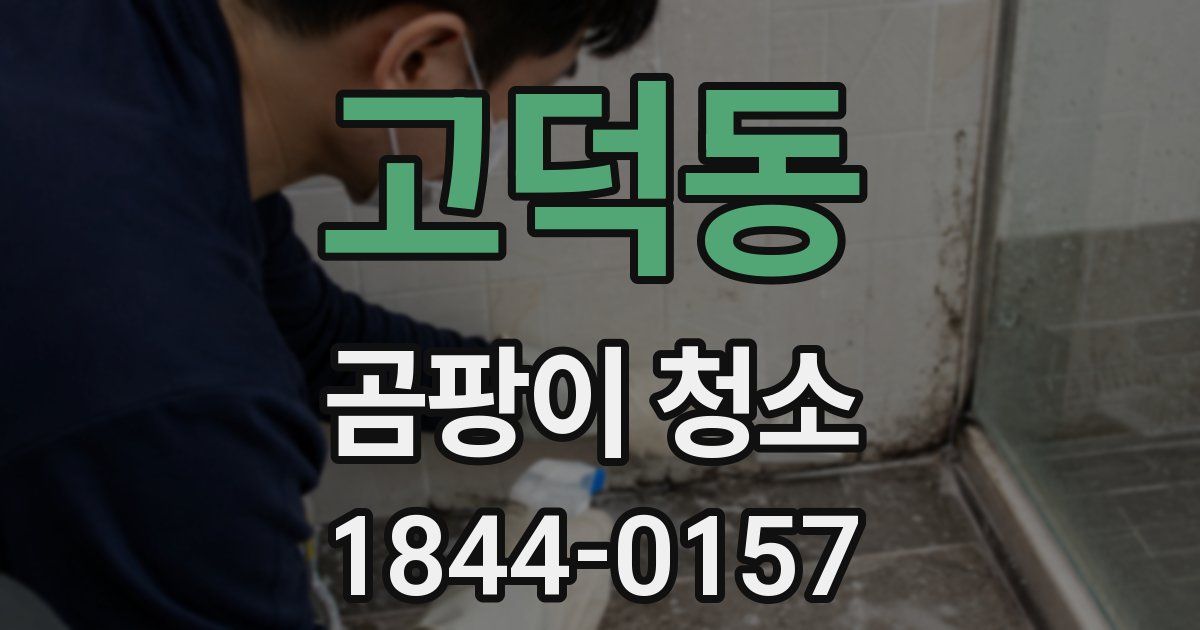 고덕동 곰팡이 청소