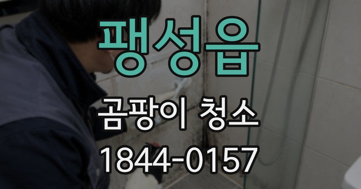 팽성읍 곰팡이 청소
