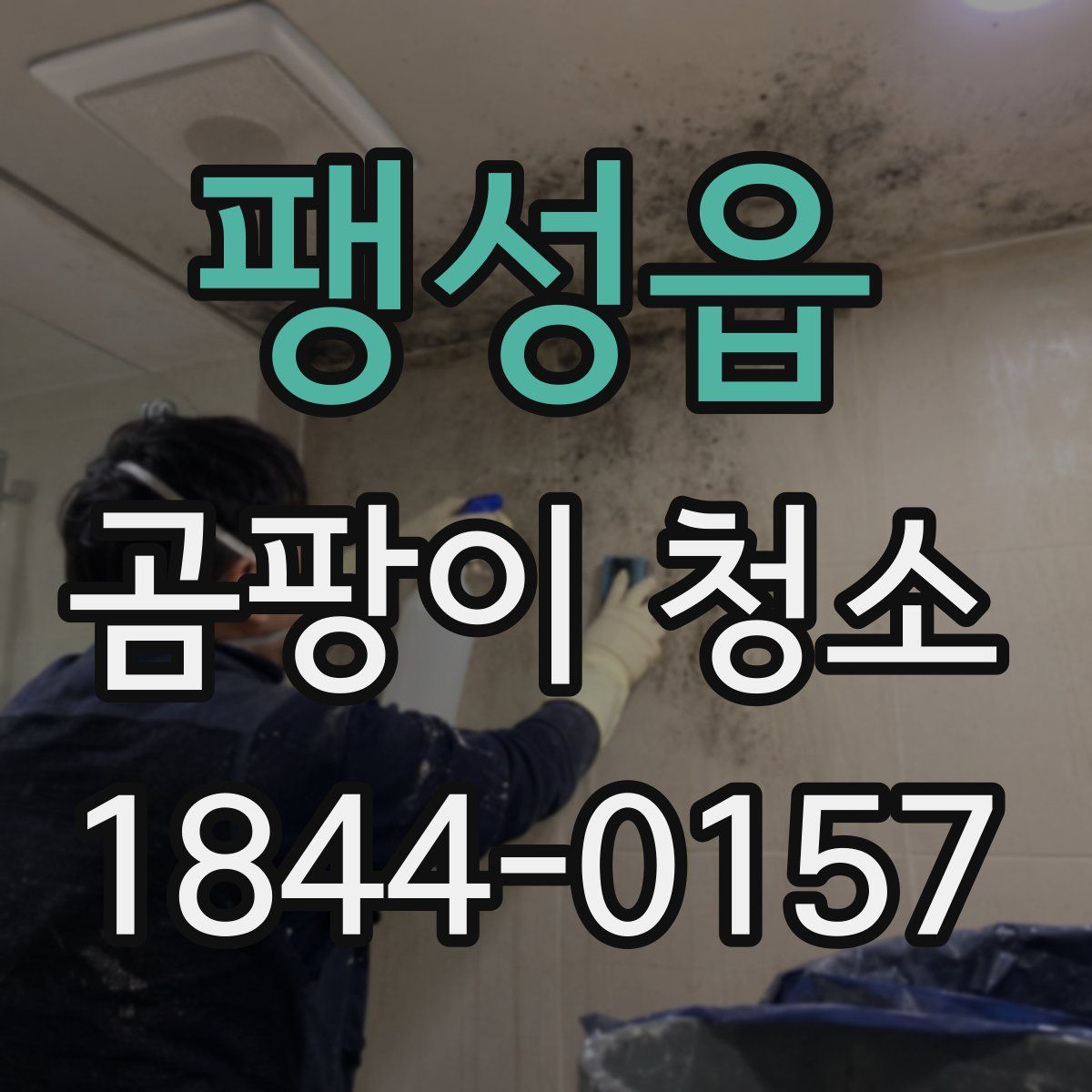 팽성읍 곰팡이 청소