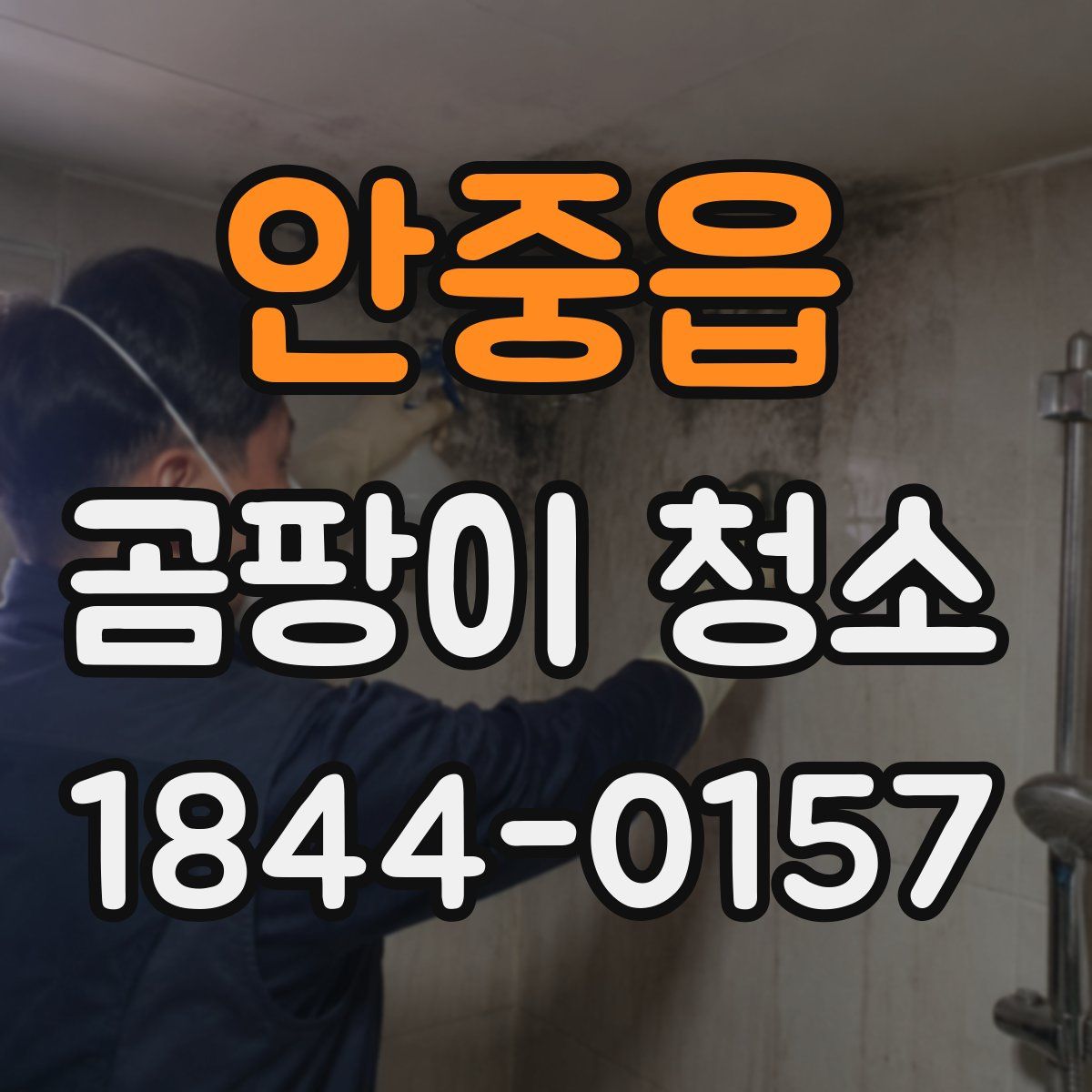 안중읍 곰팡이 청소