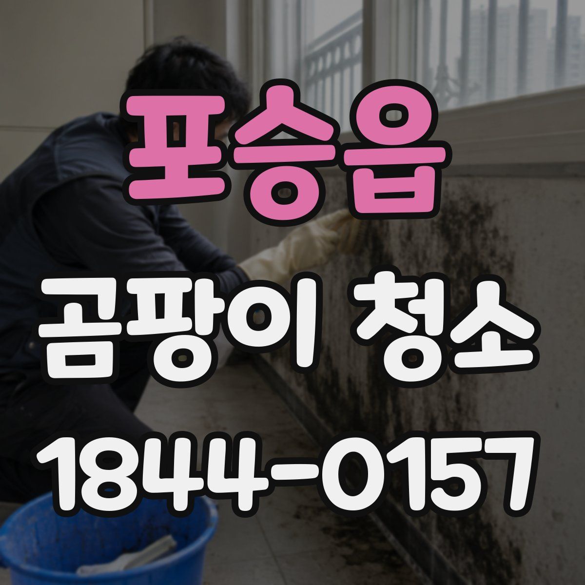 포승읍 곰팡이 청소