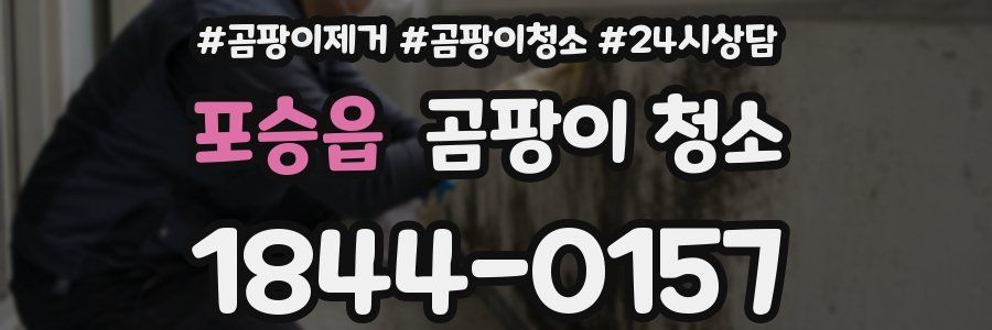포승읍 곰팡이 청소