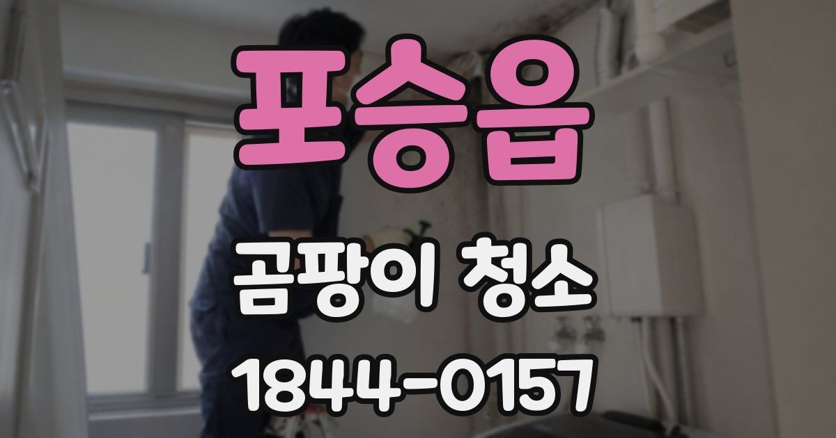 포승읍 곰팡이 청소