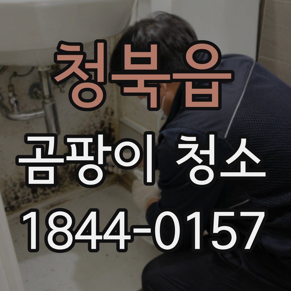 청북읍 곰팡이 청소 원인 파악과 재발 방지에 필요한 기본 점검
