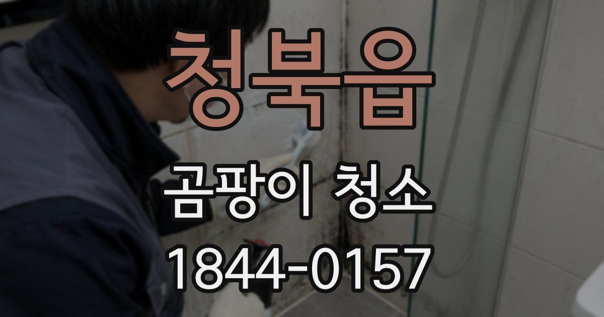 청북읍 곰팡이 청소