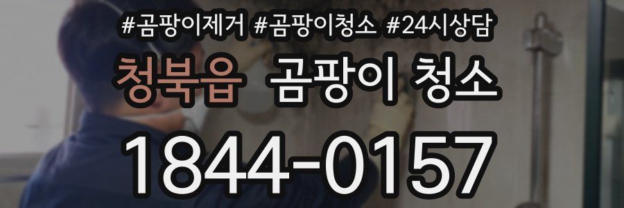 청북읍 곰팡이 청소