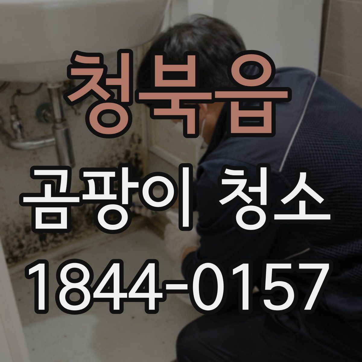 청북읍 곰팡이 청소