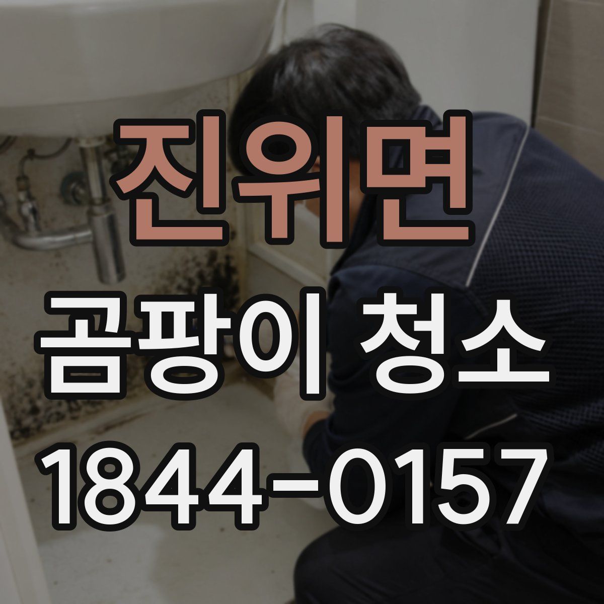 진위면 곰팡이 청소