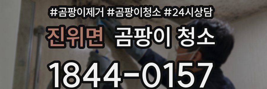 진위면 곰팡이 청소