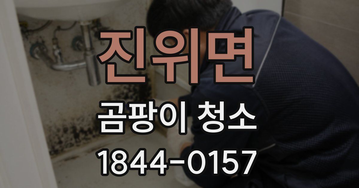 진위면 곰팡이 청소