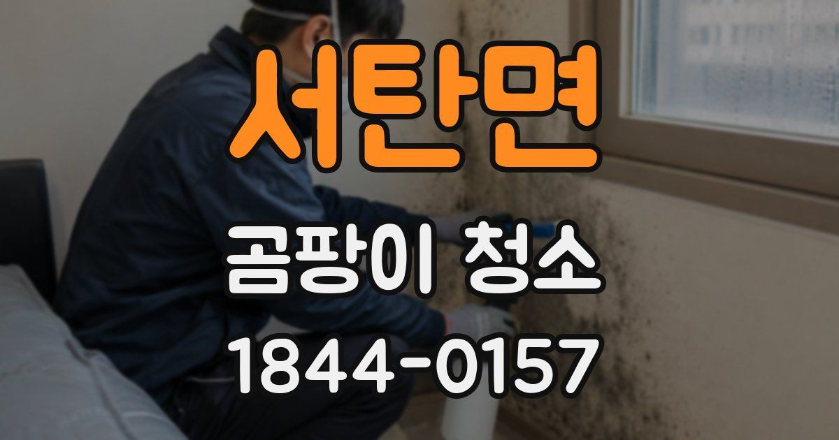서탄면 곰팡이 청소