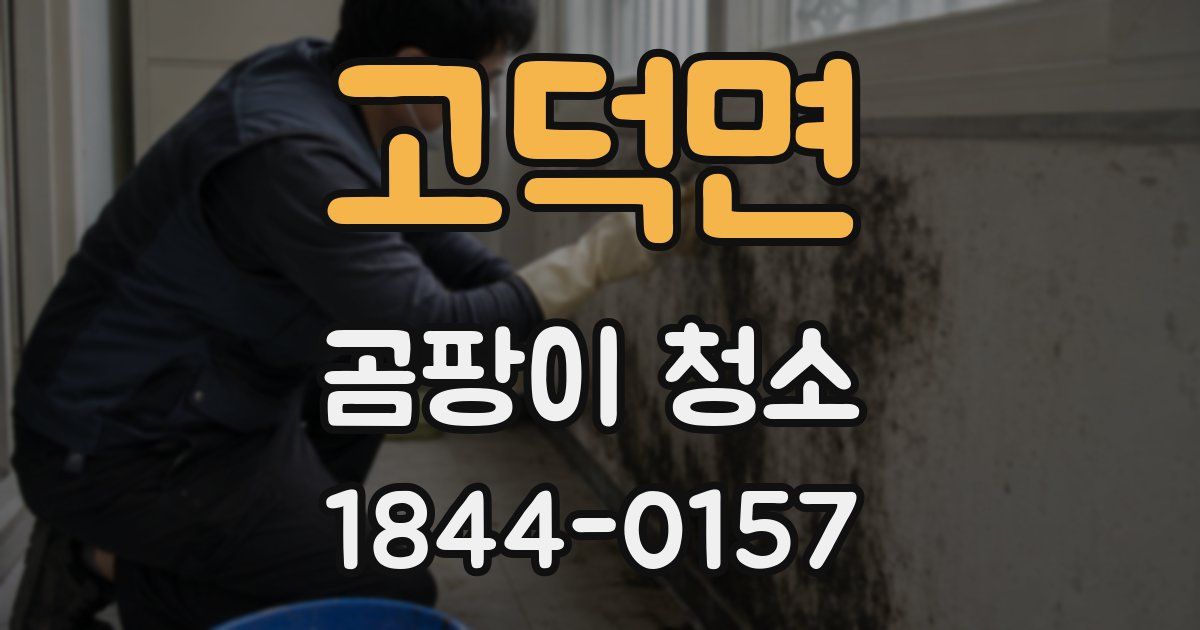 고덕면 곰팡이 청소