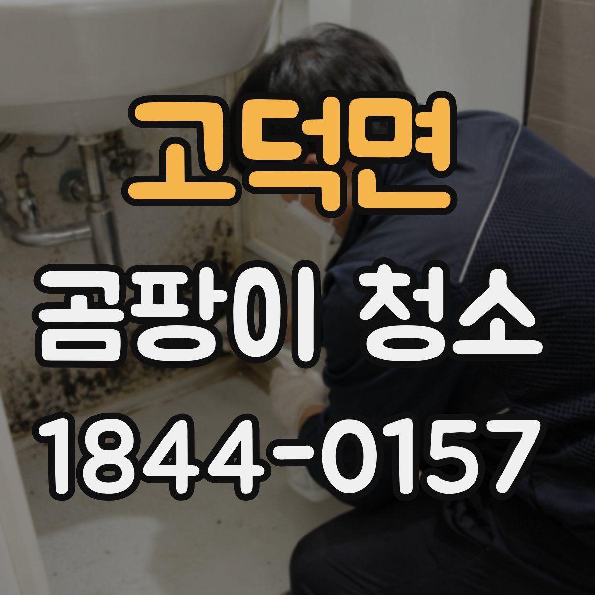고덕면 곰팡이 청소