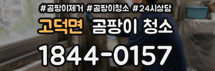 고덕면 곰팡이 청소