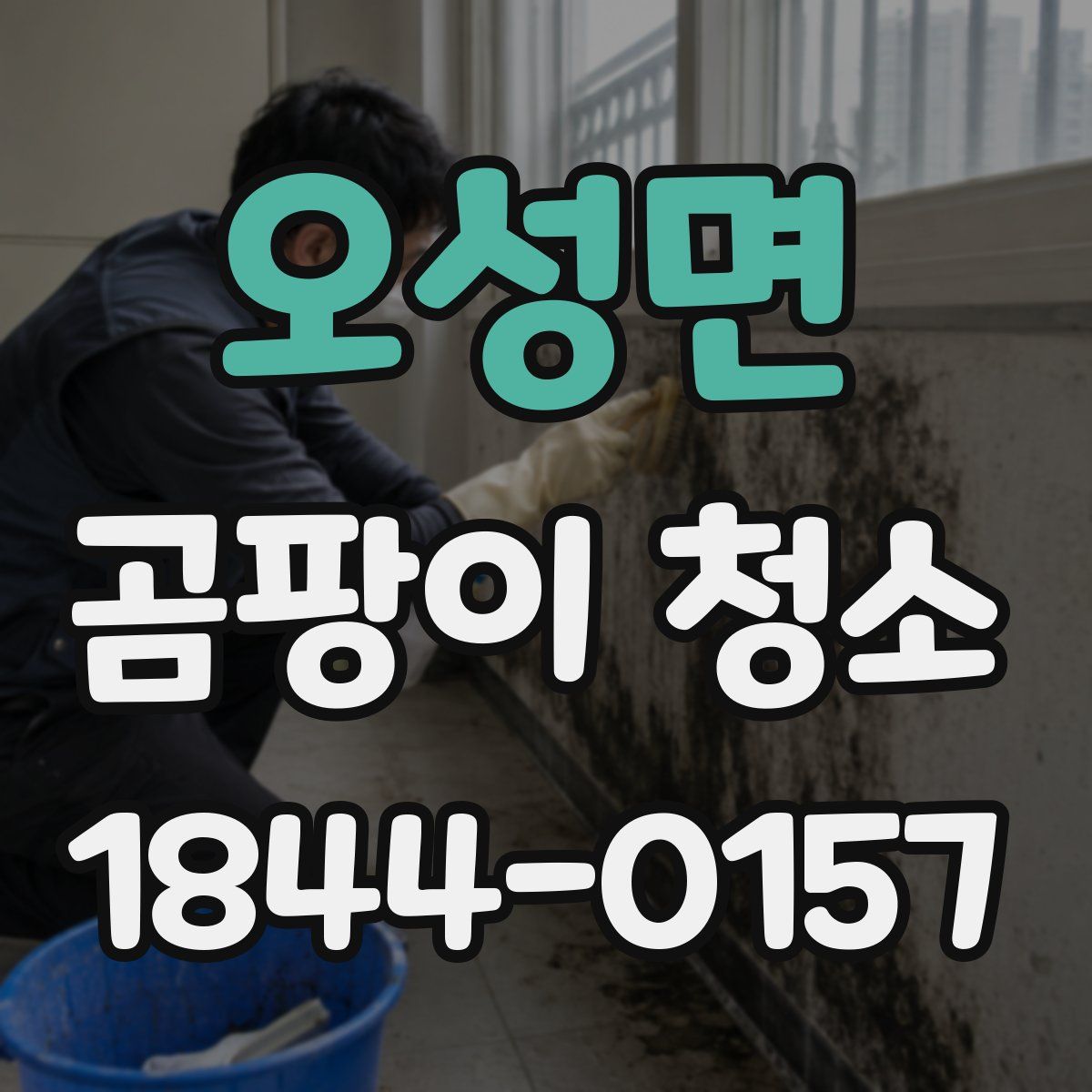 오성면 곰팡이 청소