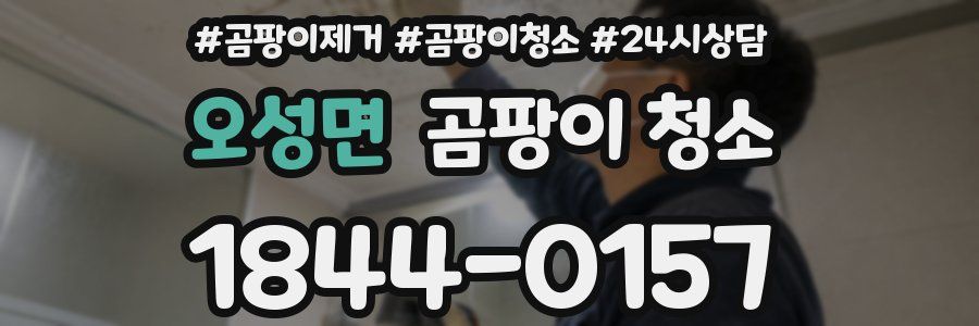 오성면 곰팡이 청소