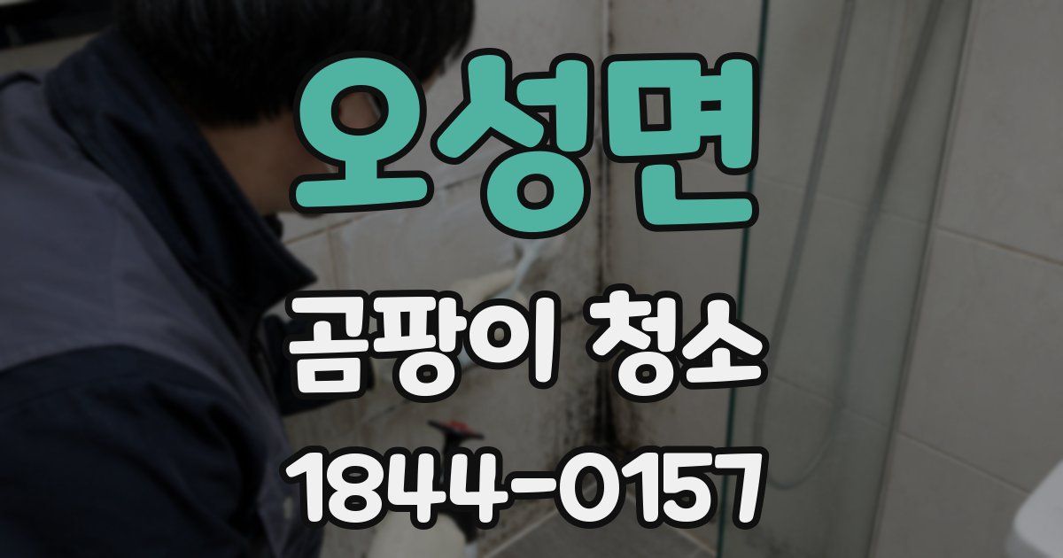 오성면 곰팡이 청소