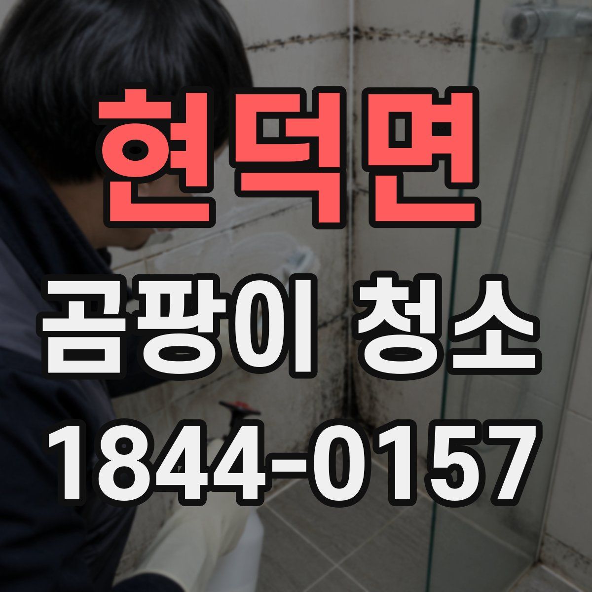 현덕면 곰팡이 청소
