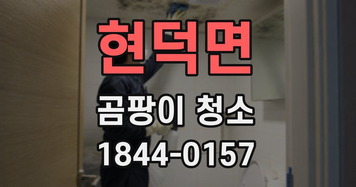 현덕면 곰팡이 청소