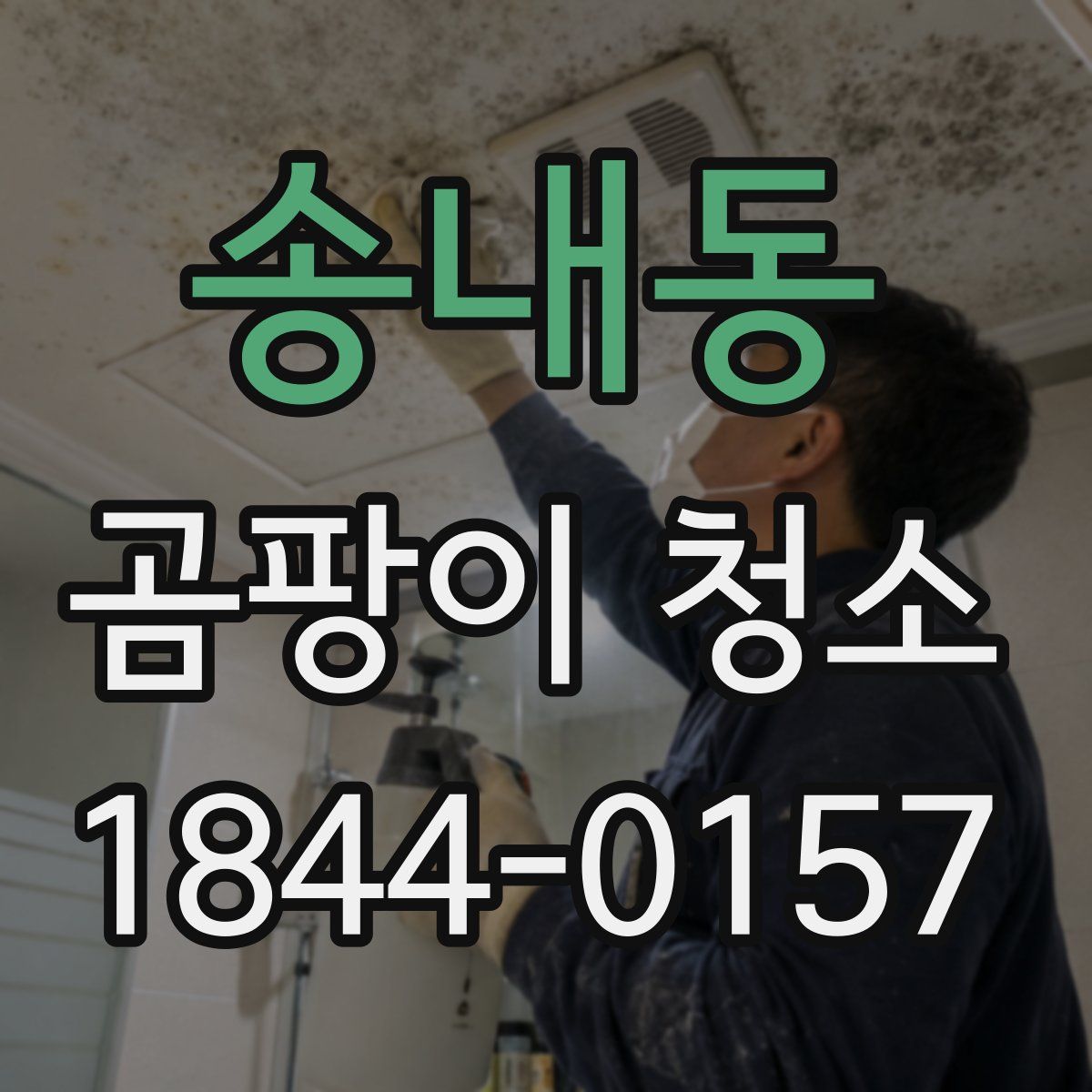 송내동 곰팡이 청소