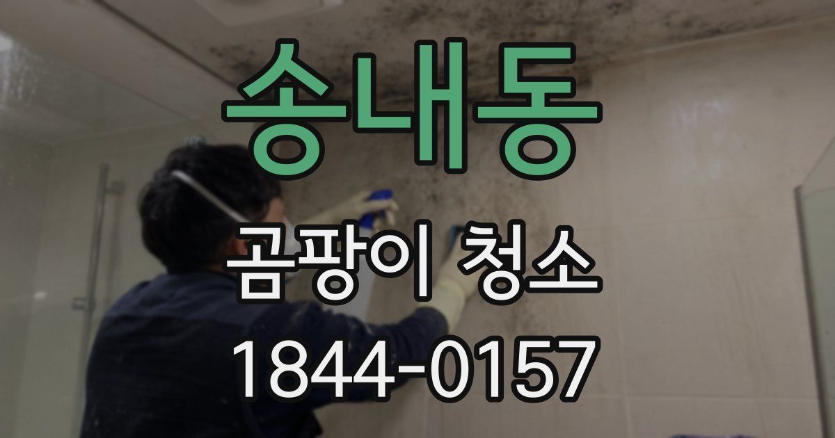송내동 곰팡이 청소