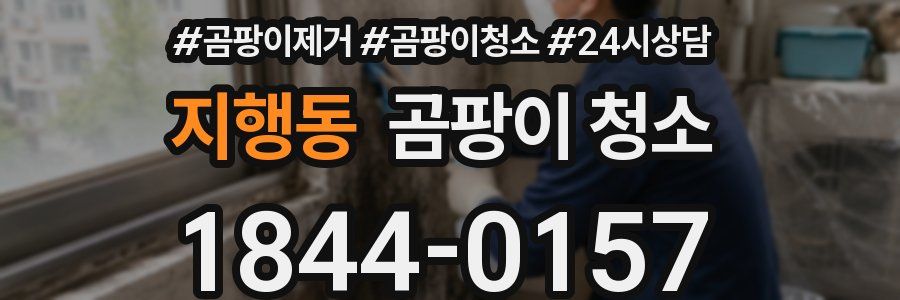 지행동 곰팡이 청소