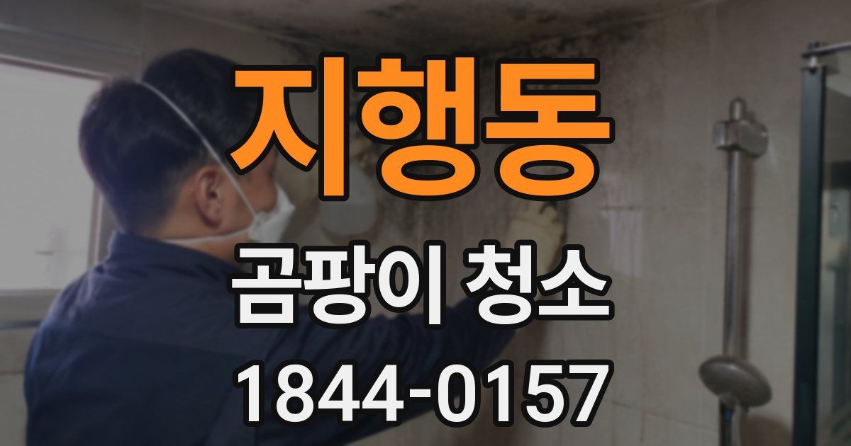 지행동 곰팡이 청소