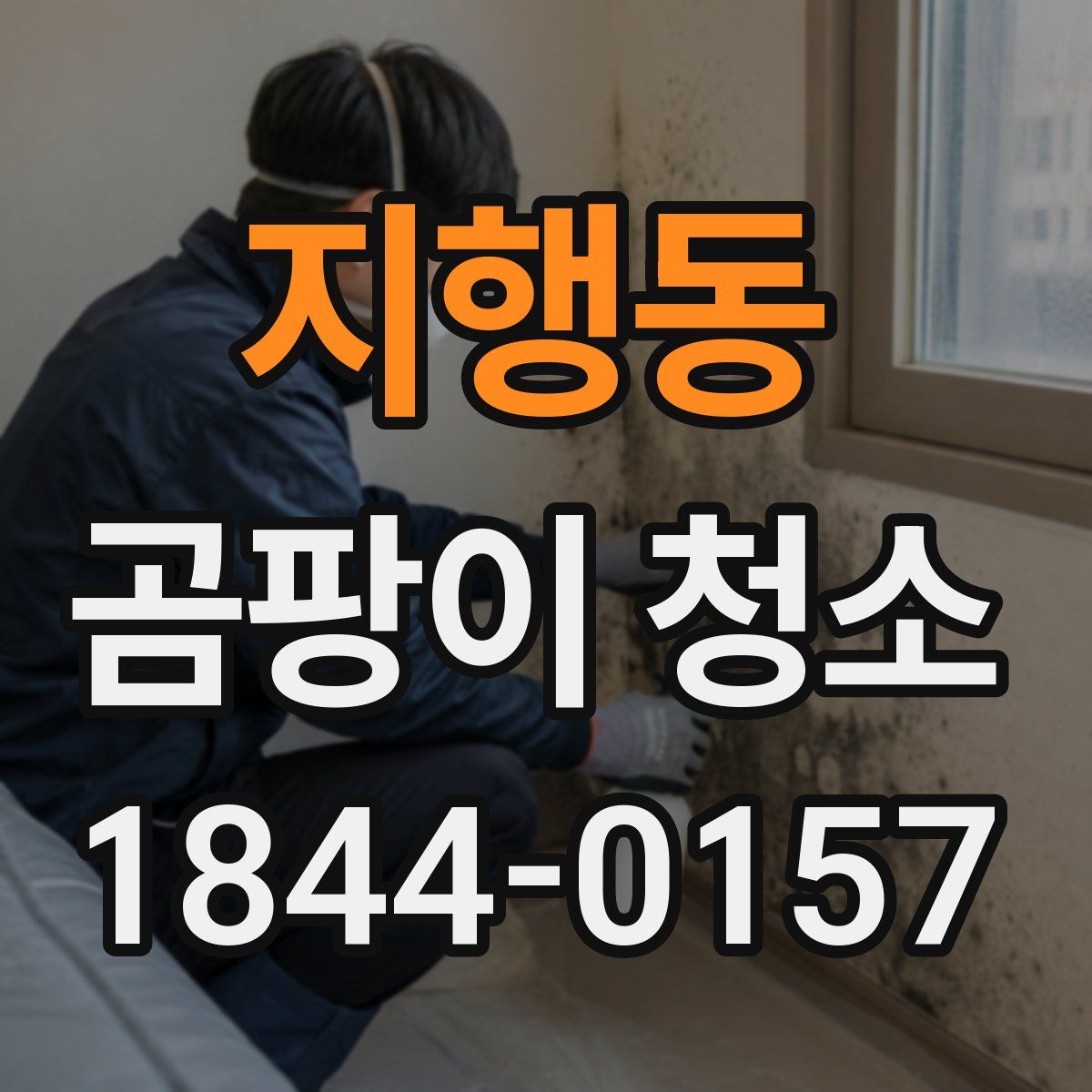 지행동 곰팡이 청소