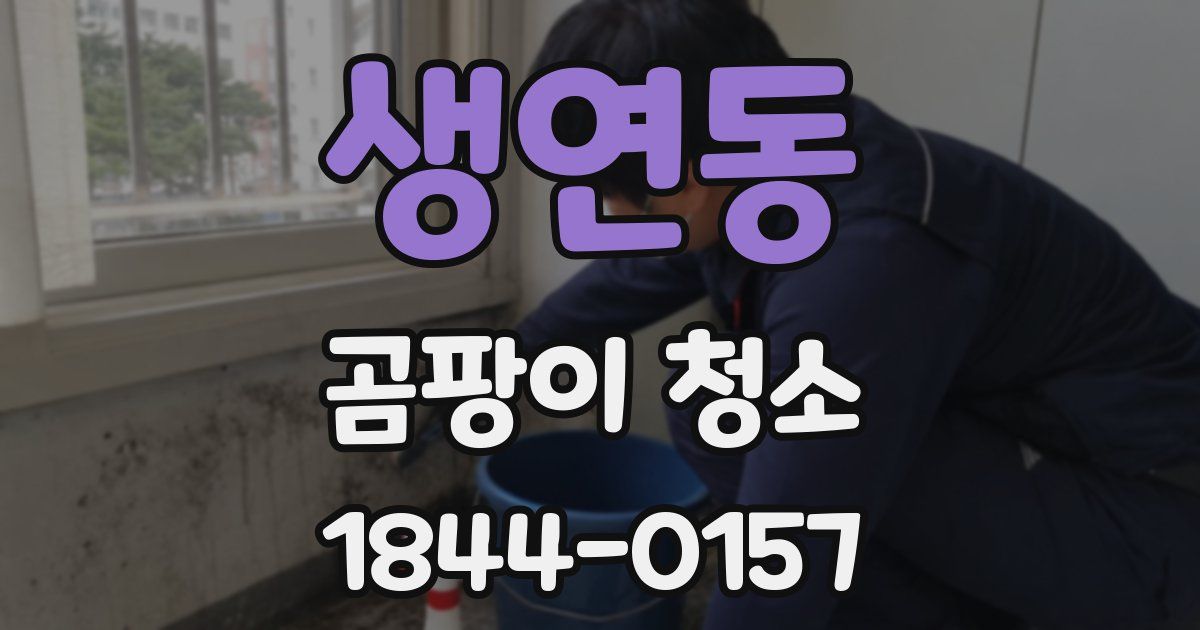 생연동 곰팡이 청소