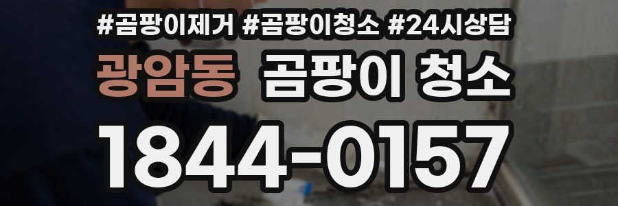 광암동 곰팡이 청소
