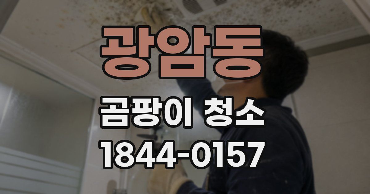 광암동 곰팡이 청소