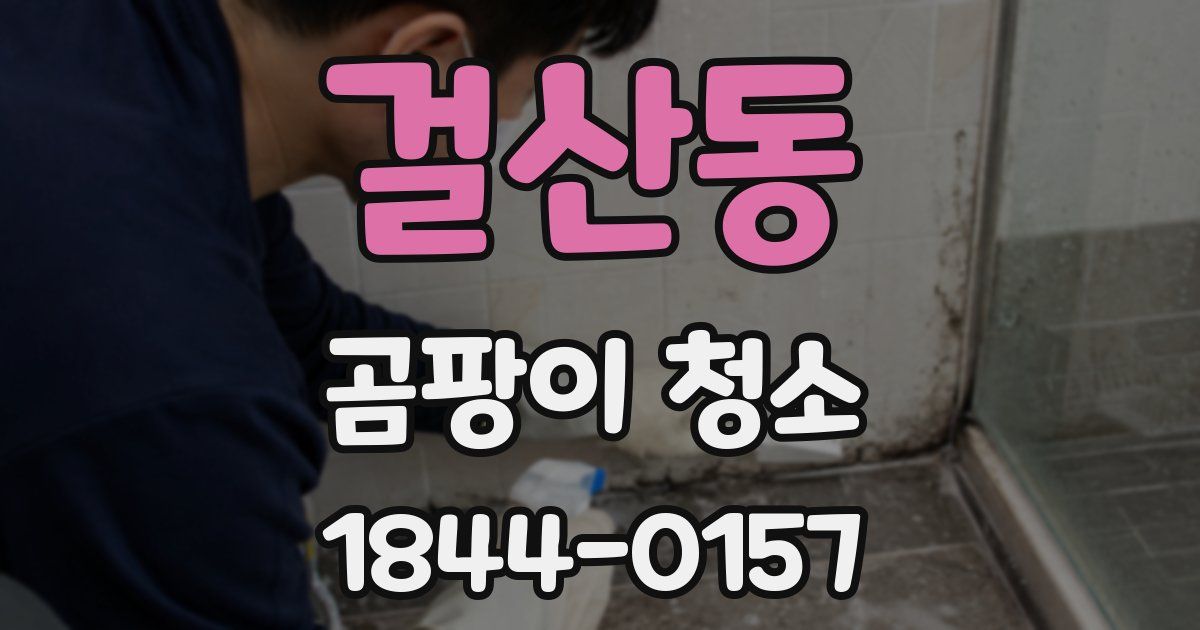 걸산동 곰팡이 청소