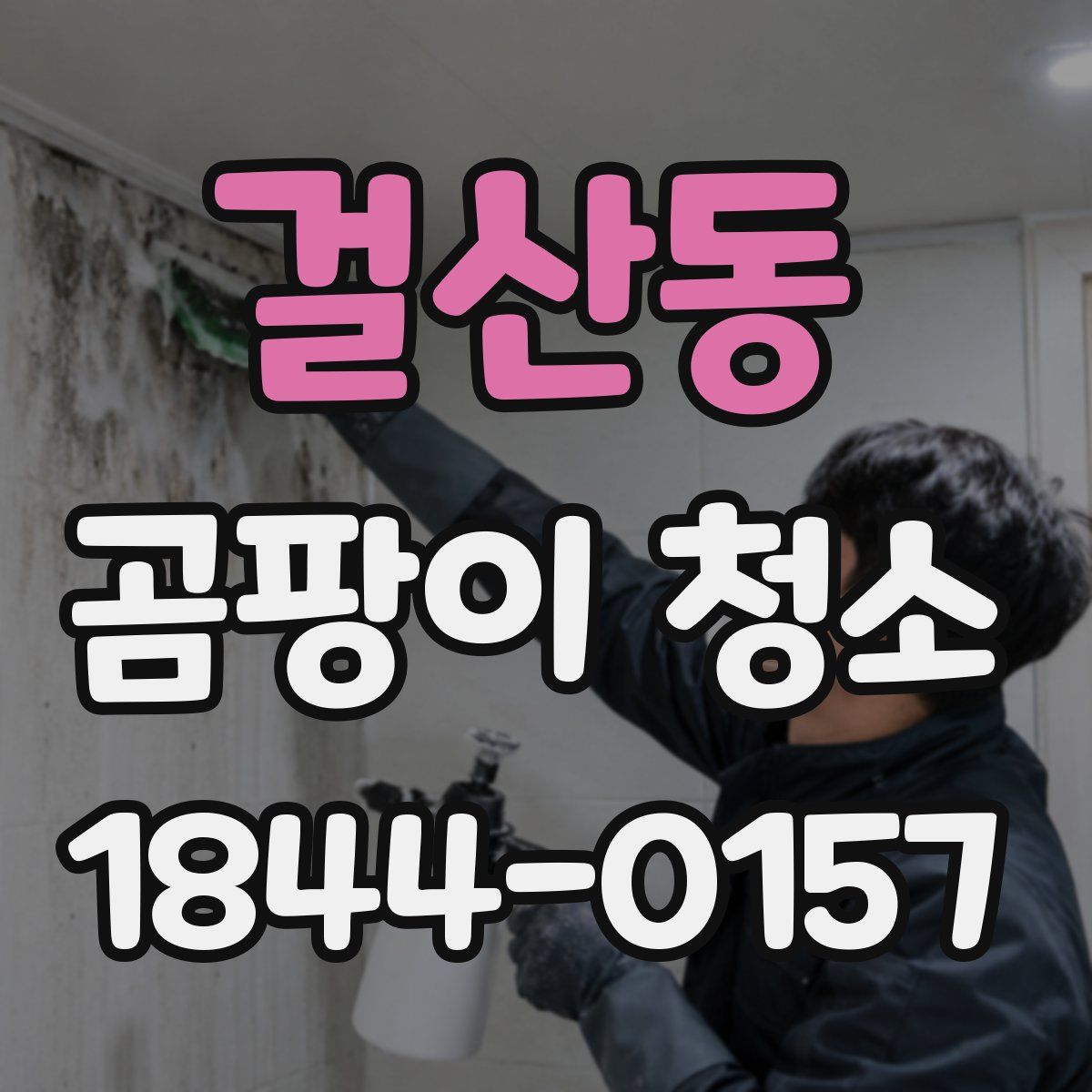 걸산동 곰팡이 청소