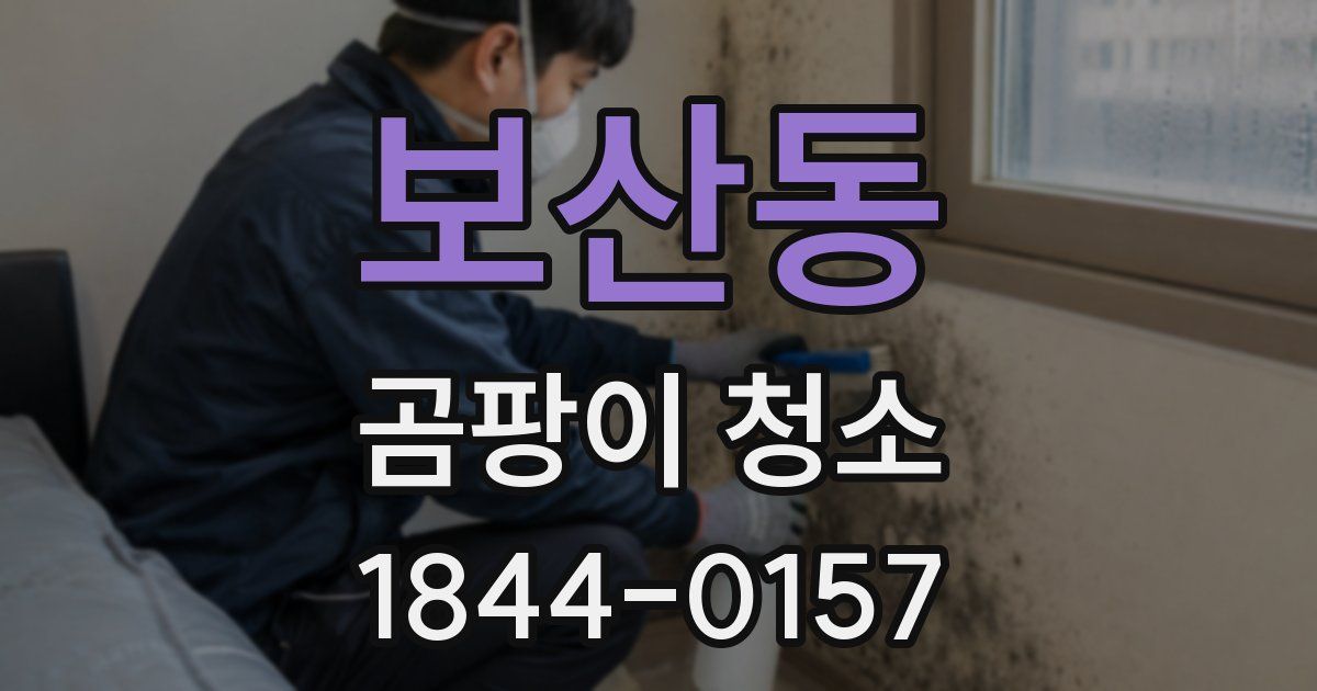 보산동 곰팡이 청소