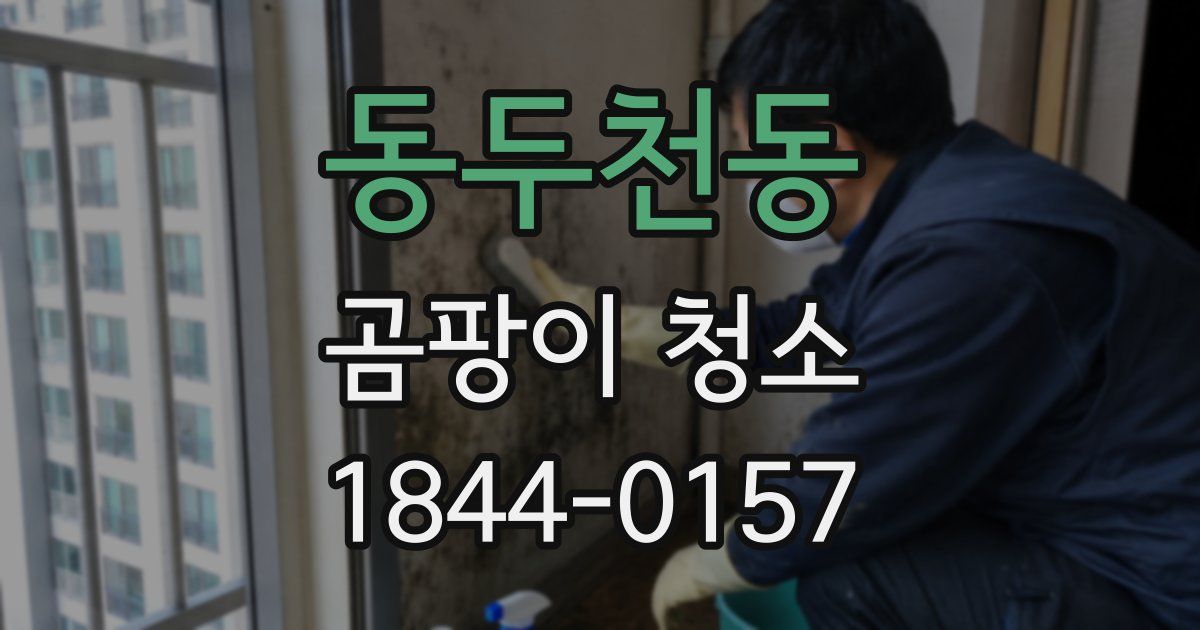 동두천동 곰팡이 청소
