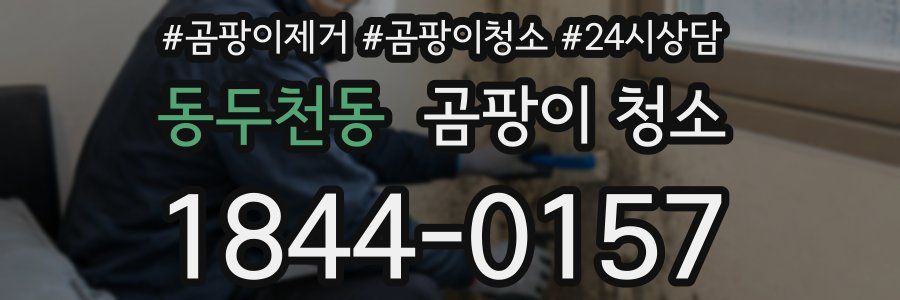 동두천동 곰팡이 청소