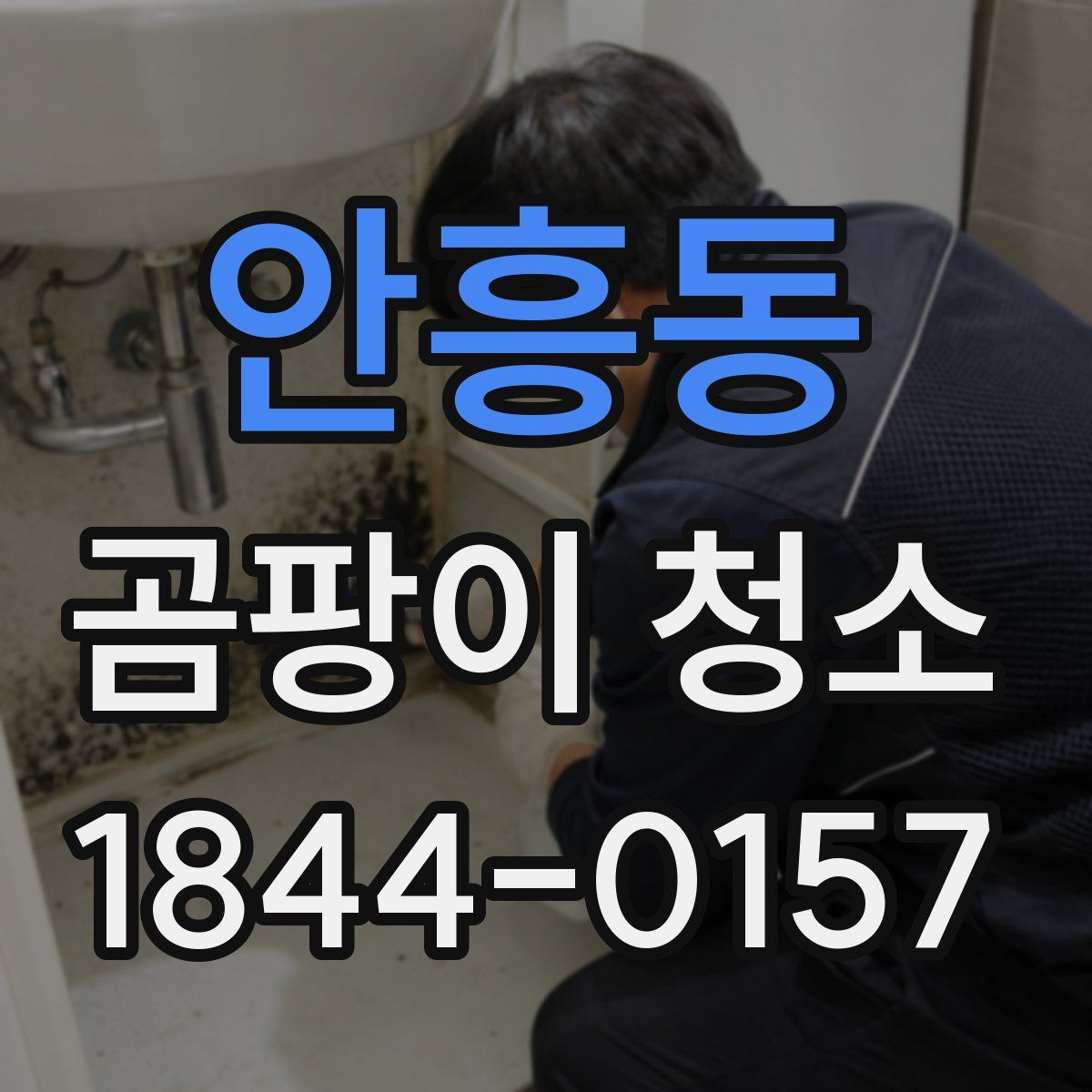 안흥동 곰팡이 청소