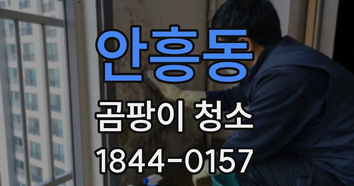 안흥동 곰팡이 청소