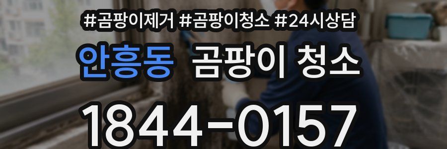 안흥동 곰팡이 청소