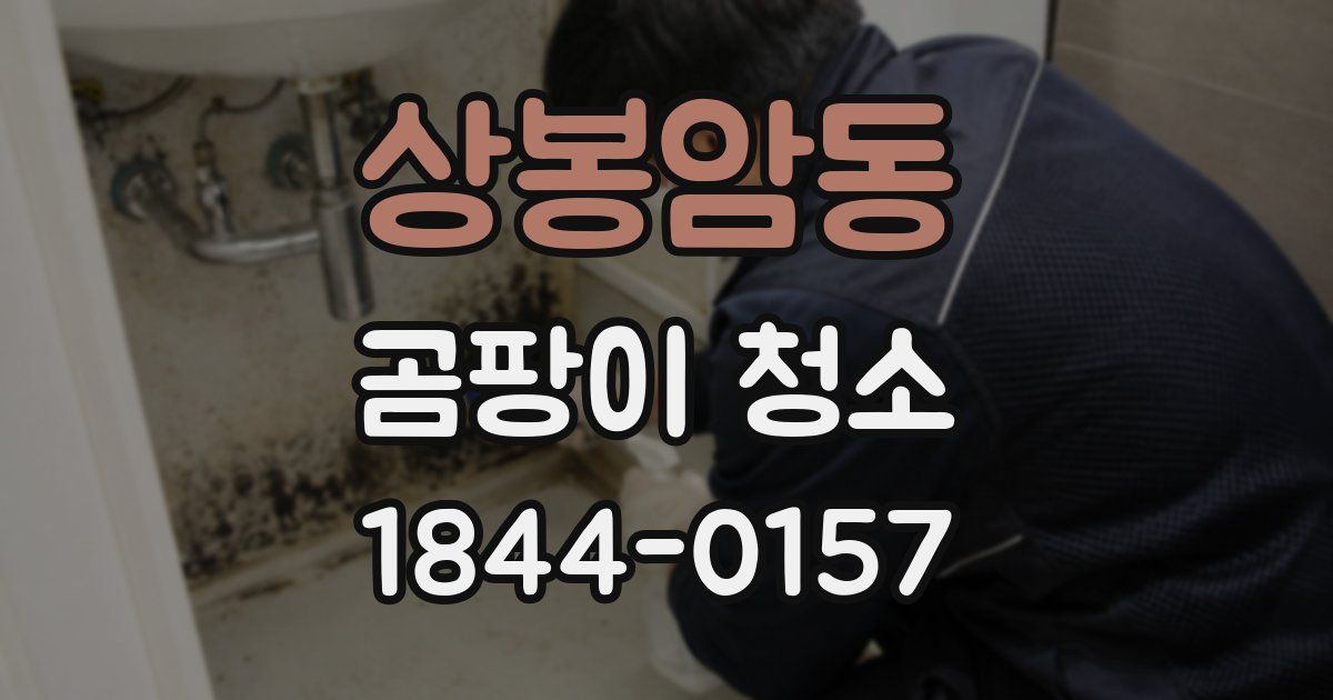 상봉암동 곰팡이 청소