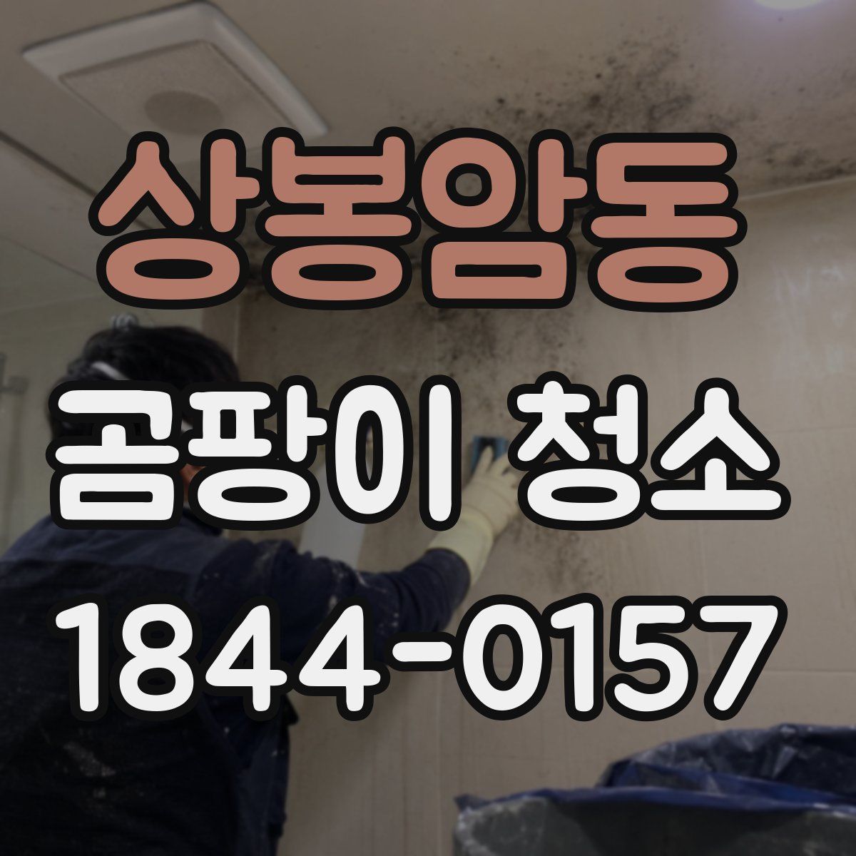 상봉암동 곰팡이 청소