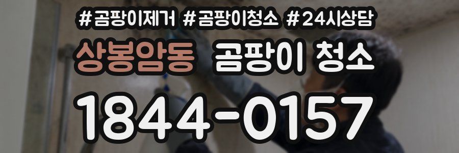 상봉암동 곰팡이 청소